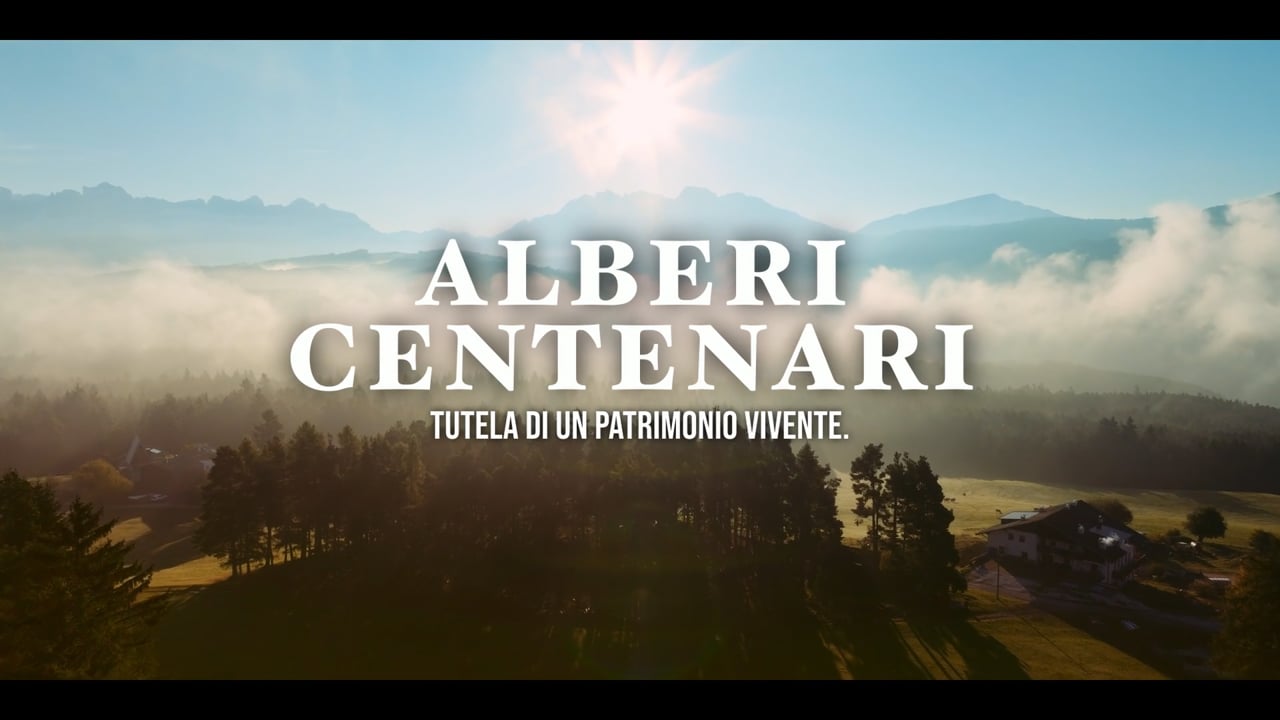 Alberi centenari - Trailer - Online 06 / 2026